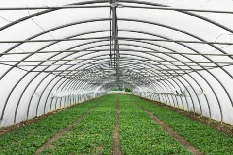 NAYLON ÖRTÜ EBATLI