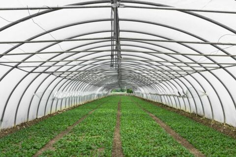 NAYLON ÖRTÜ EBATLI