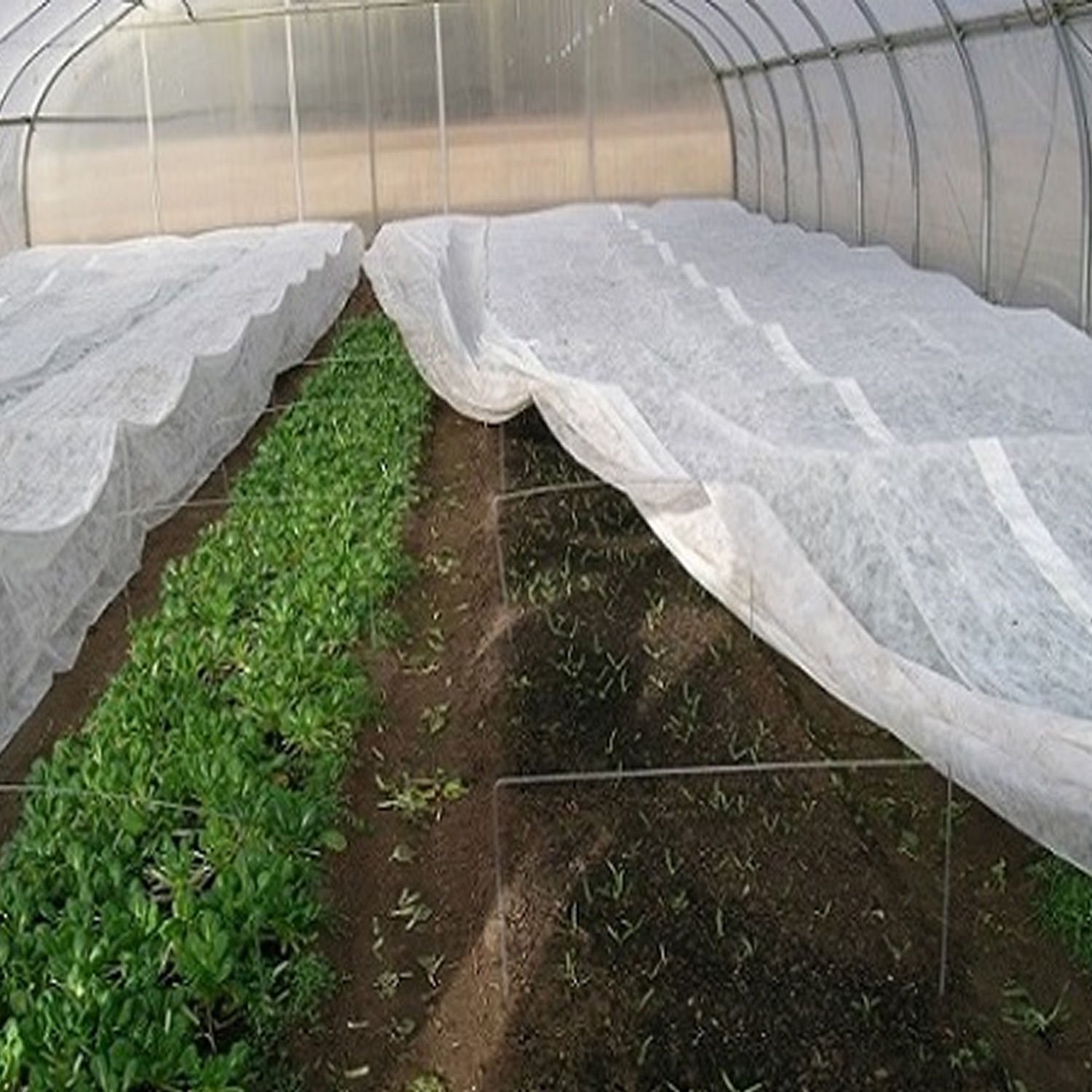 FİDE TÜLÜ NONWOVEN 17GR