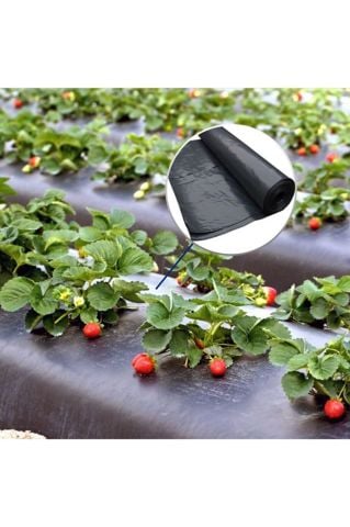 TOPTAN ÇİLEK ÖRTÜSÜ MALÇ 120CM*500MT