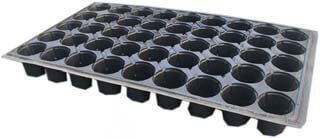 TOPTAN FİDE VİYOLÜ 100AD