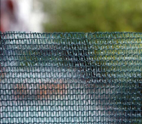 Toptan Fındık Toplama Filesi 6mt*200mt