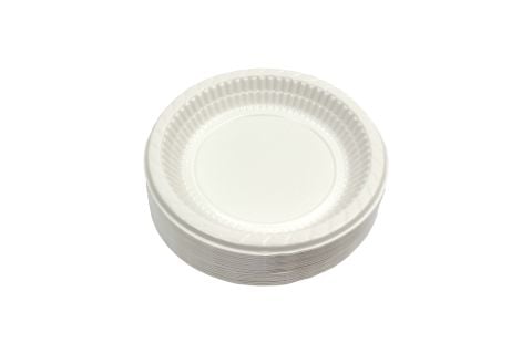 PLASTİK TABAK 170MM 100AD