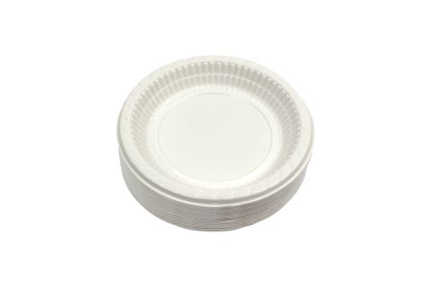 PLASTİK TABAK 170MM 100AD