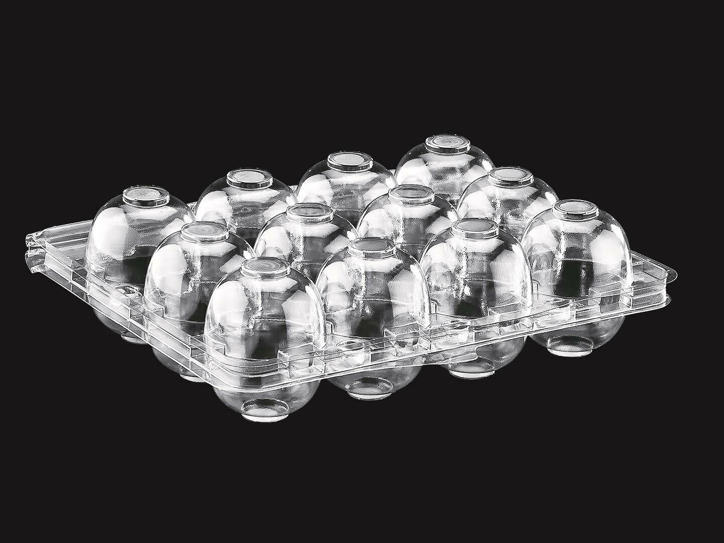 BILDIRCIN YUMURTA VİYOLÜ