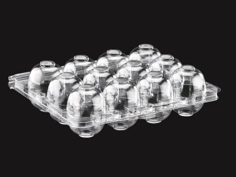 BILDIRCIN YUMURTA VİYOLÜ